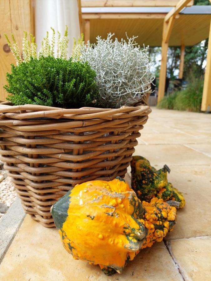 Villa Quality Wellness Dozmat Екстериор снимка